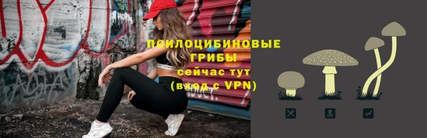 сатива Кодинск