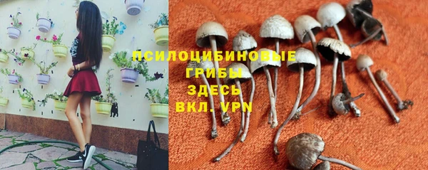 альфа пвп Костерёво