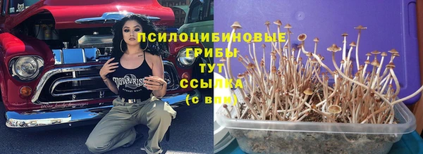 гашишное масло Козельск
