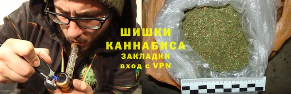 сатива Кодинск