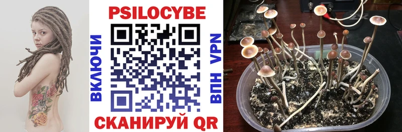 Купить  Конаково  Псилоцибиновые грибы мицелий 